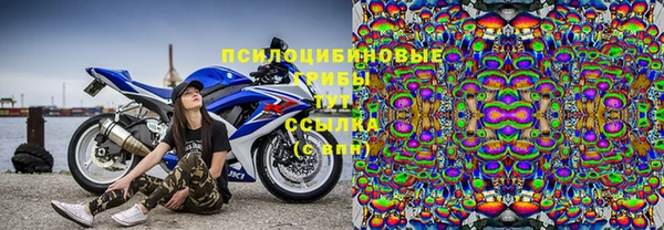 прущая мука Алзамай