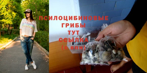 кокс Абдулино