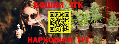spice Кинель