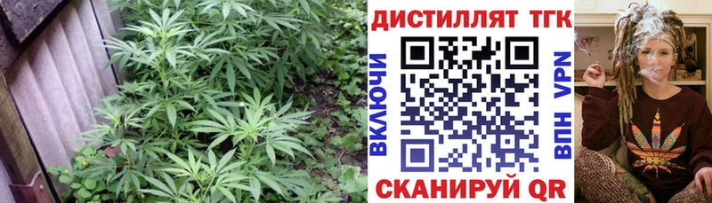 Дистиллят ТГК Wax  мега как войти  Южноуральск 