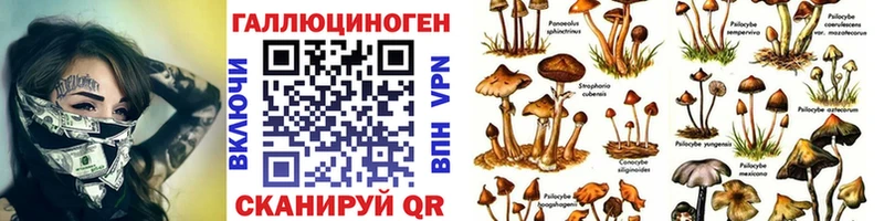 Псилоцибиновые грибы MAGIC MUSHROOMS  кракен вход  Южноуральск  даркнет сайт 