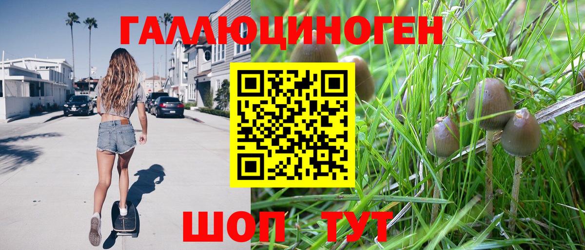 Псилоцибиновые грибы GOLDEN TEACHER  Вход с VPN  закладка  Южноуральск 