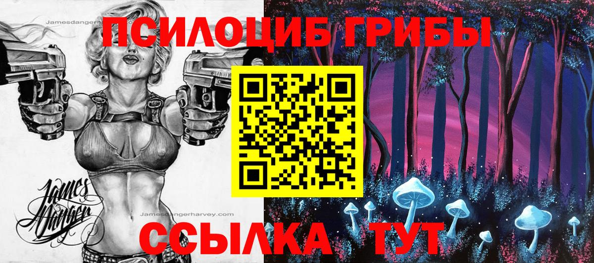 Галлюциногенные грибы Psilocybine cubensis Южноуральск